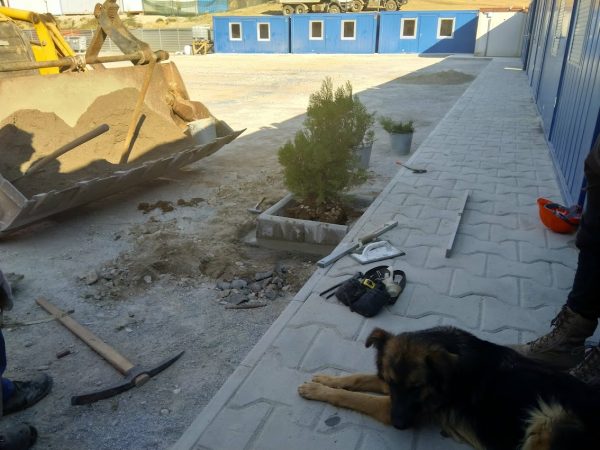 Материал 355 от архива на ВЕМУС